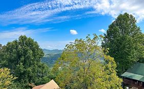 Little Black Bear Retreat