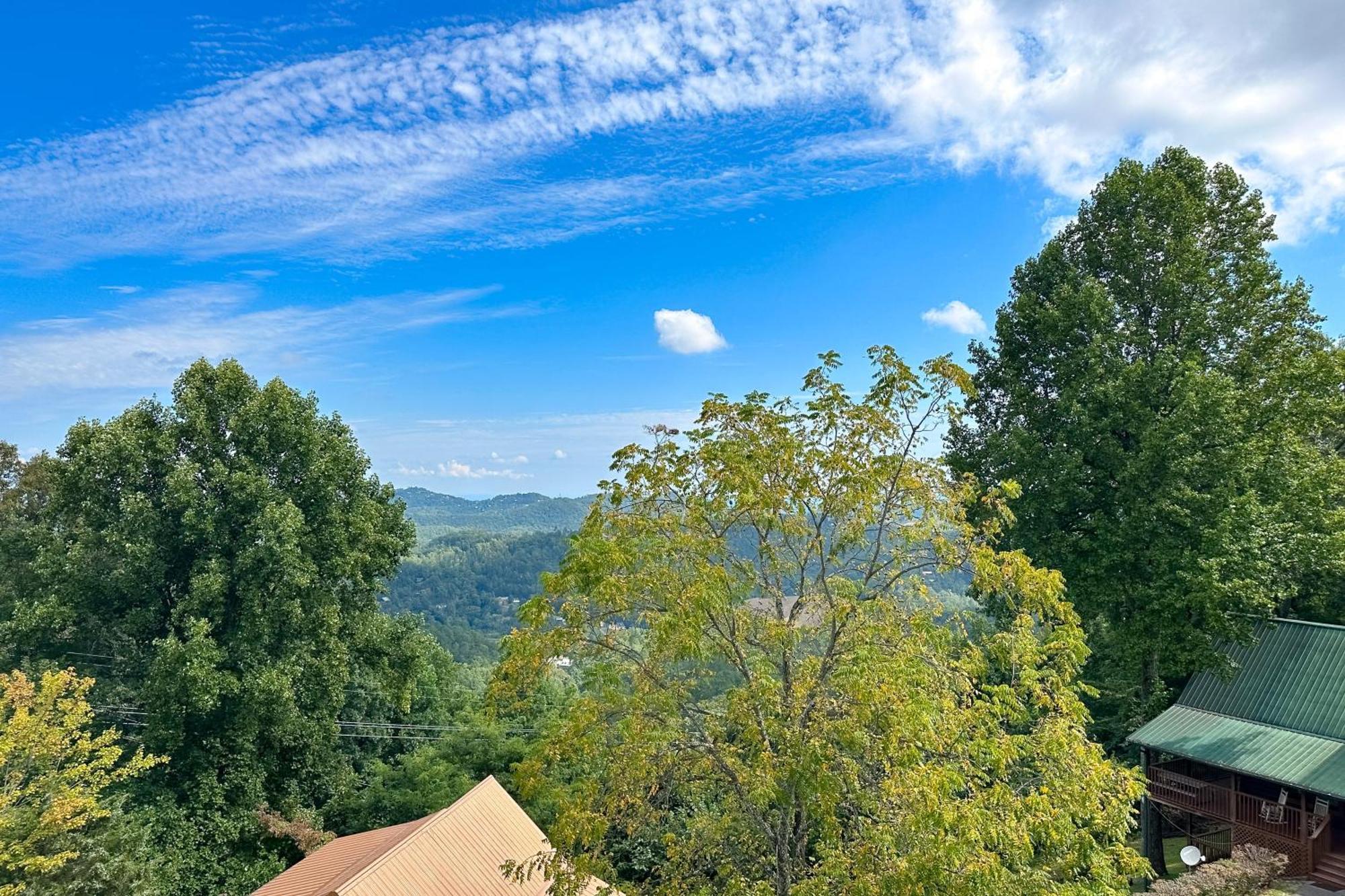 Little Black Bear Retreat Pigeon Forge Exterior photo